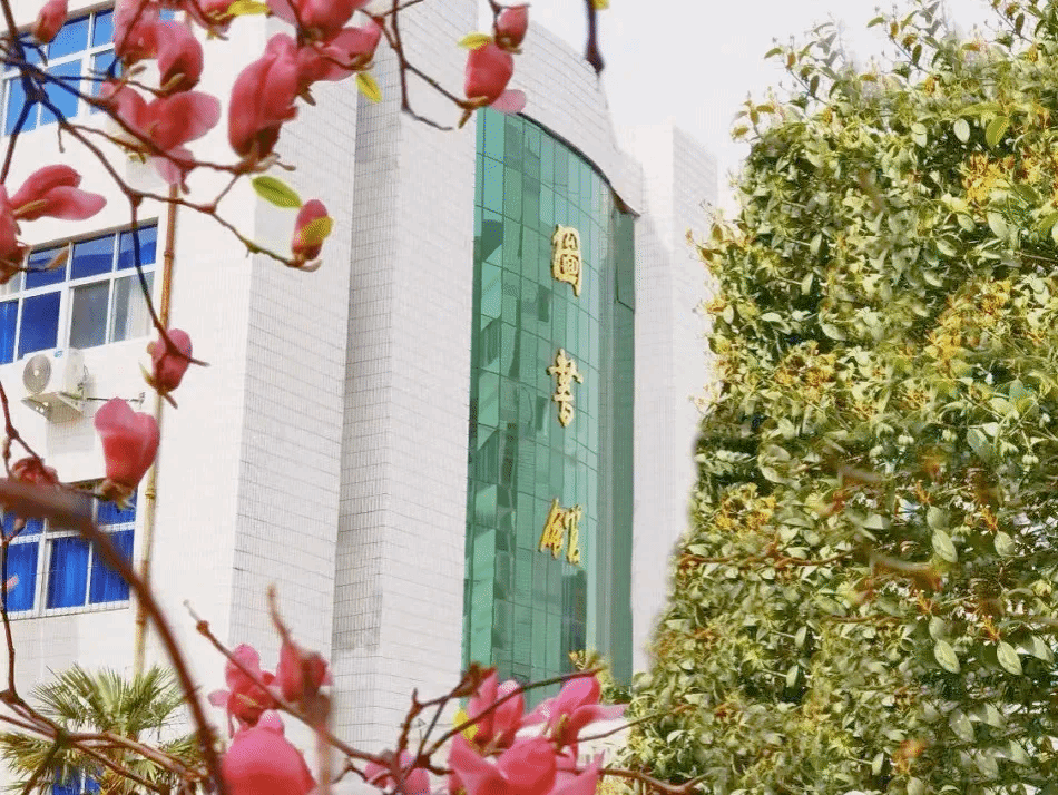 图书馆