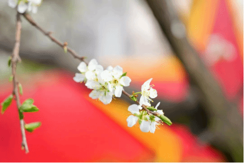 来经管，赴一场春日之约