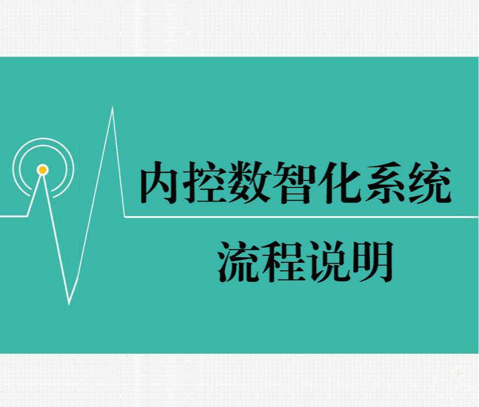 内控数智化系统流程手册（简明版）